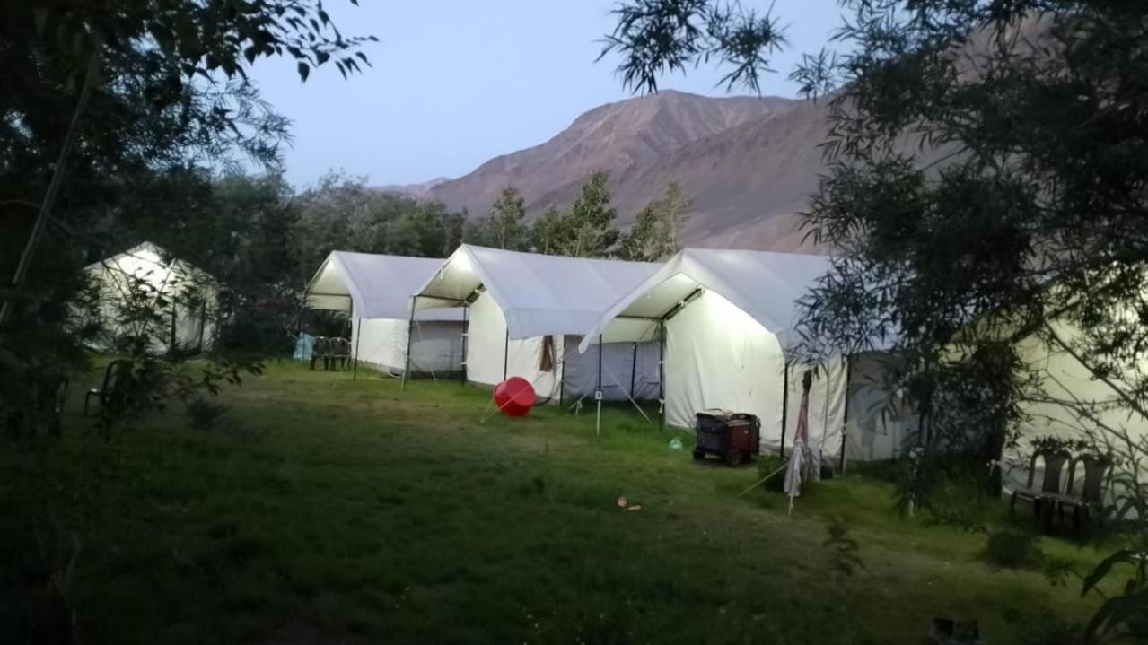 Padmaling Guest House Zanskar Eco Camp Padam Exterior foto